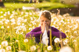 Antiallergiques saisonniers et conseils associés